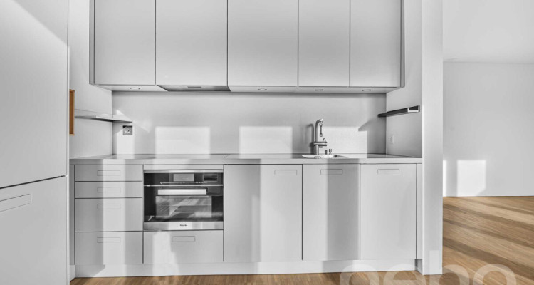 Helle 1.5-Zimmer?Attikawohnung mit Pilatusblick im Büttenenquartier image 3