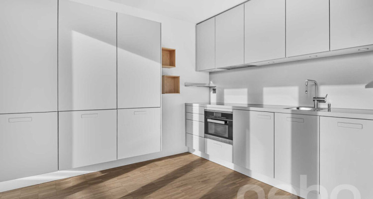 Helle 1.5-Zimmer?Attikawohnung mit Pilatusblick im Büttenenquartier image 4