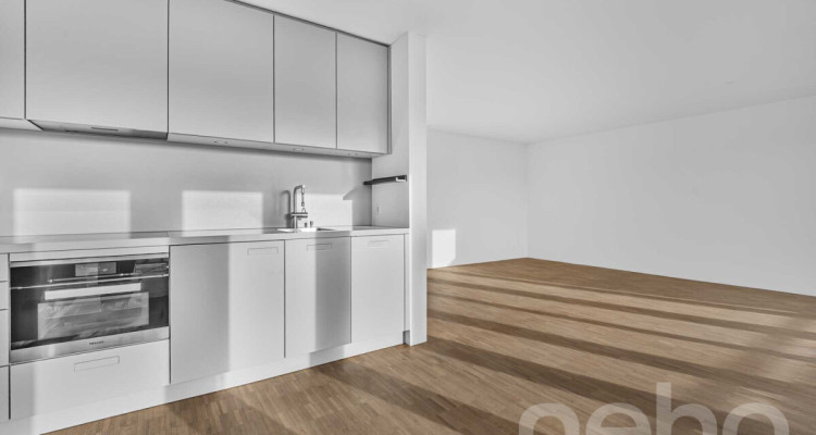 Helle 1.5-Zimmer?Attikawohnung mit Pilatusblick im Büttenenquartier image 5