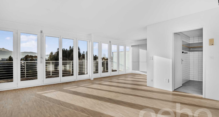 Helle 1.5-Zimmer?Attikawohnung mit Pilatusblick im Büttenenquartier image 8