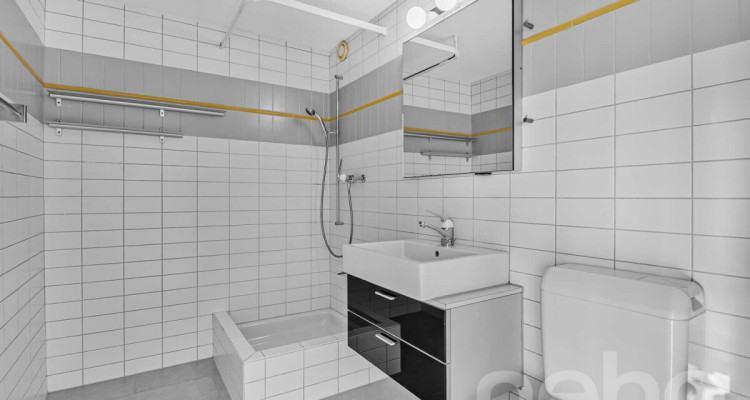 Helle 1.5-Zimmer?Attikawohnung mit Pilatusblick im Büttenenquartier image 9