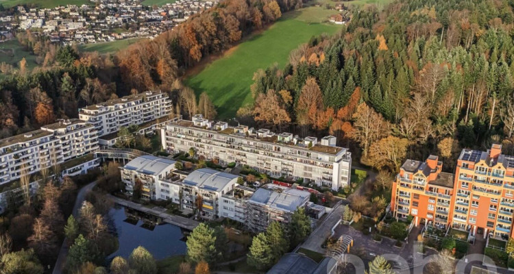 Helle 1.5-Zimmer?Attikawohnung mit Pilatusblick im Büttenenquartier image 12