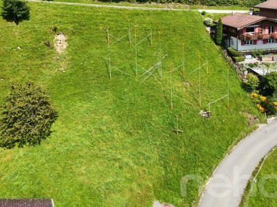 Wohnen im Grünen mit Bergpanorama image 1