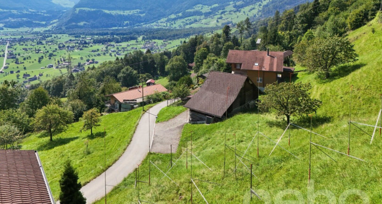 Wohnen im Grünen mit Bergpanorama image 9