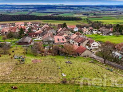 Propriété avec vaste terrain de 7?800 m² sur les hauteurs de Rances image 2