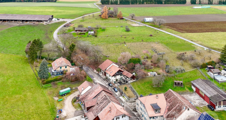 Propriété avec vaste terrain de 7?800 m² sur les hauteurs de Rances image 3