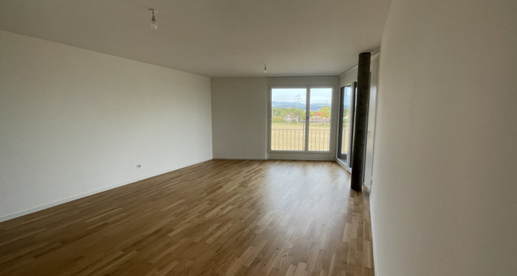 🏡 Reprise de bail – 2.5 pièces, Nyon (Chemin Falconnier) au : 01.02.2026 image 1