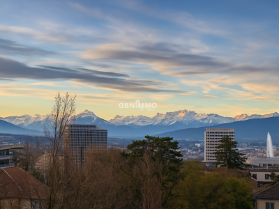 EXCLUSIVITE - Au coeur du quartier des Organisations Internationales image 2
