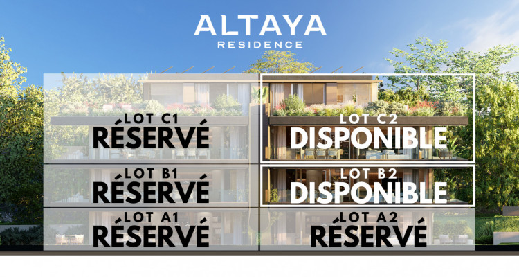 NEUF SIMPLEX 5.5 PCS CHAMPEL  image 11