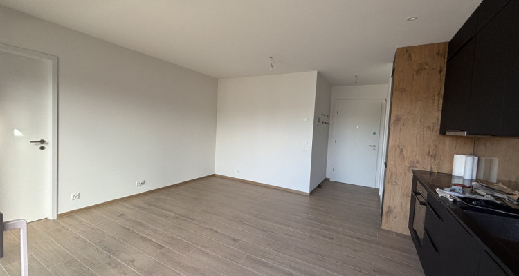 ✨ NOUVEAUTÉ ! APPARTEMENT ATTIQUE 2,5 PIÈCES – CORSIER (GE) ✨ image 9