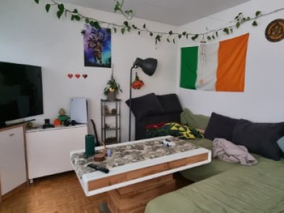 Appartement 4 pièces situé à Vernier image 4