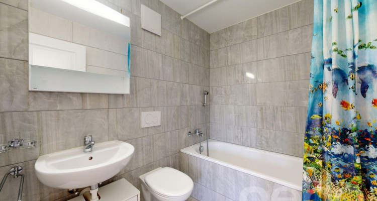 Charmant appartement 4.5 pièces au c?ur du Vully image 10