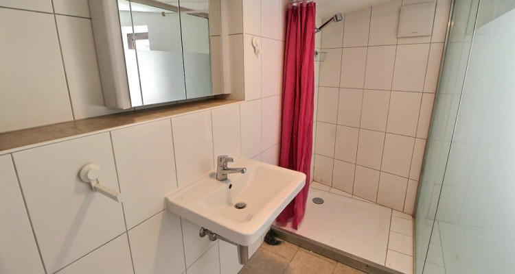 Grande maison en viager semi-occupé sans rente avec grand potentiel image 7