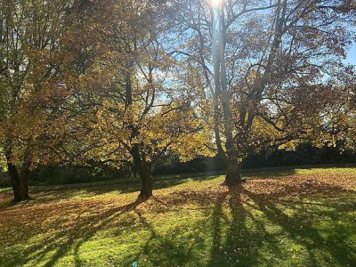 🏡 Reprise de bail – 2.5 pièces, Lausanne (Av. du Parc de la Rouvraie) au 16.01 image 2