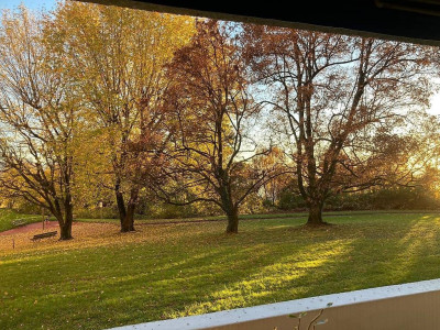 🏡 Reprise de bail – 2.5 pièces, Lausanne (Av. du Parc de la Rouvraie) au 16.01 image 3