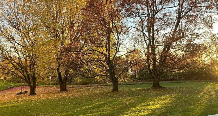 🏡 Reprise de bail – 2.5 pièces, Lausanne (Av. du Parc de la Rouvraie) au 16.01 image 3
