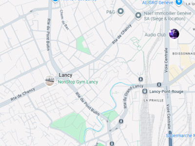 Appartement  3 pièces aux Petit Lancy image 1