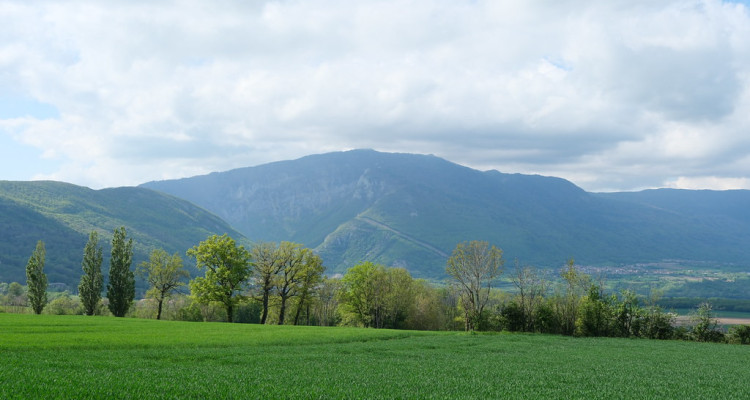 À VENDRE – 3 PARCELLES CONSTRUCTIBLES – 5902 m² – VANZY (74270) image 1