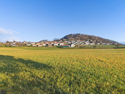 Très grande maison en viager occupé sans rente image 1