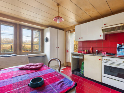 Très grande maison en viager occupé sans rente image 4