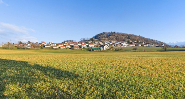 Très grande maison en viager occupé sans rente image 1