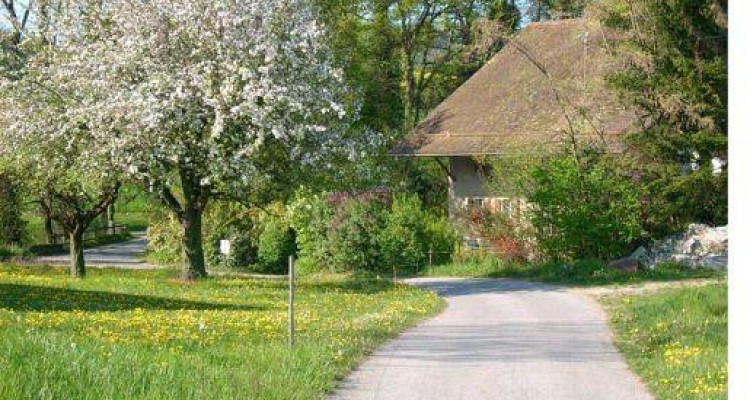 Très grande maison en viager occupé sans rente image 3