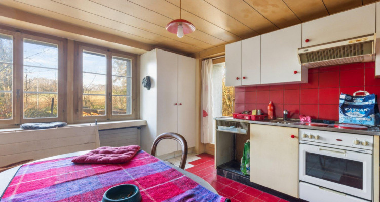 Très grande maison en viager occupé sans rente image 4