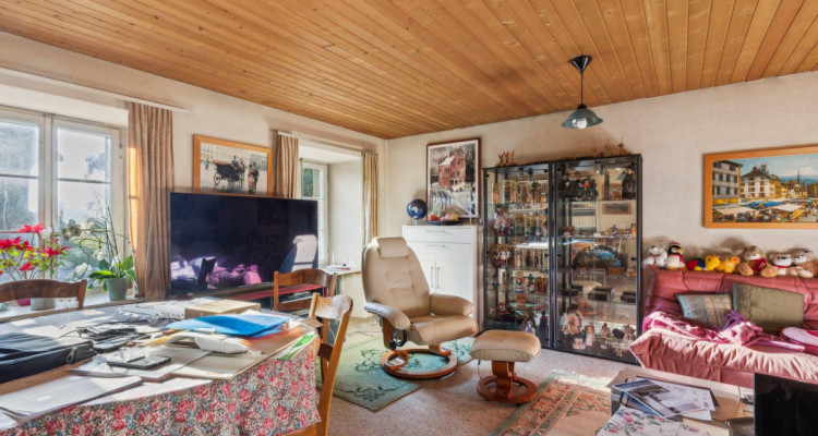 Très grande maison en viager occupé sans rente image 5