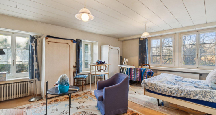 Très grande maison en viager occupé sans rente image 6