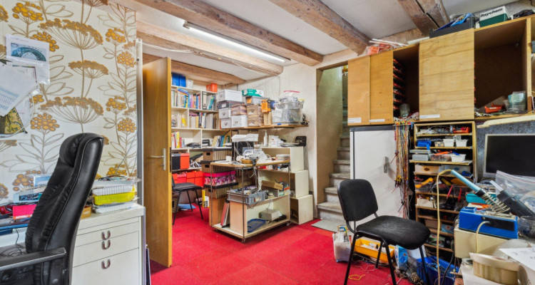 Très grande maison en viager occupé sans rente image 9