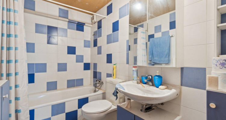 Très grande maison en viager occupé sans rente image 11