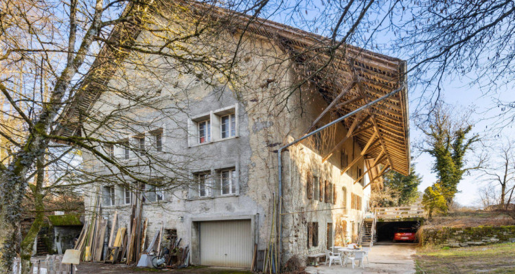 Très grande maison en viager occupé sans rente image 12