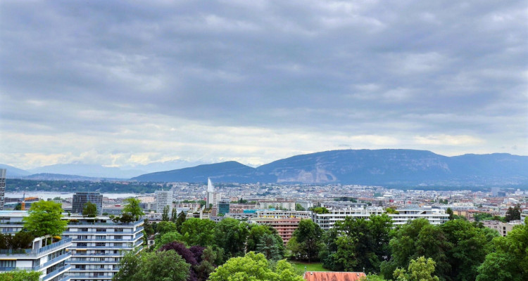 Superbe appartement en étage élevé avec piscine en viager occupé sans rente image 9