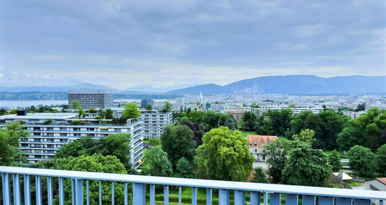 Superbe appartement en étage élevé avec piscine en viager occupé sans rente image 10