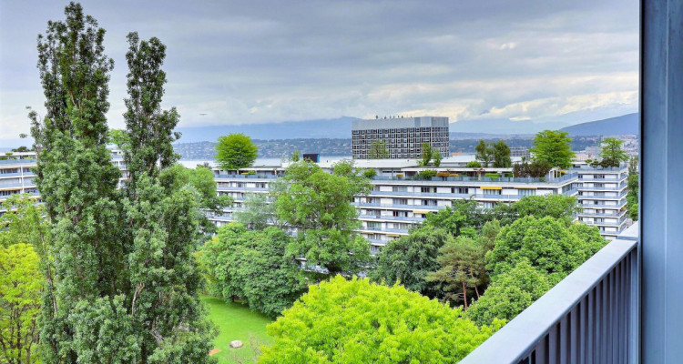 Superbe appartement en étage élevé avec piscine en viager occupé sans rente image 12
