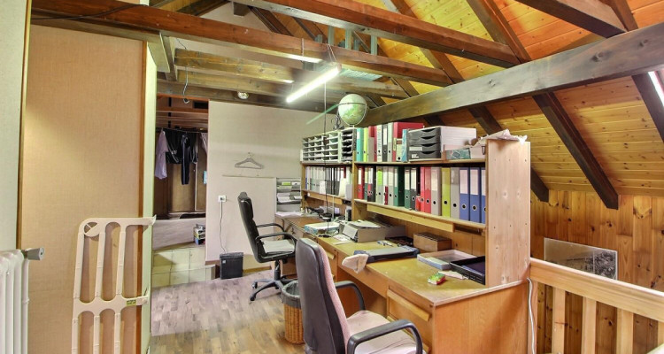 Magnifique et spacieuse maison en viager occupé sans rente image 6