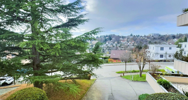 Magnifique appartement avec vue Lac en viager occupé sans rente image 1