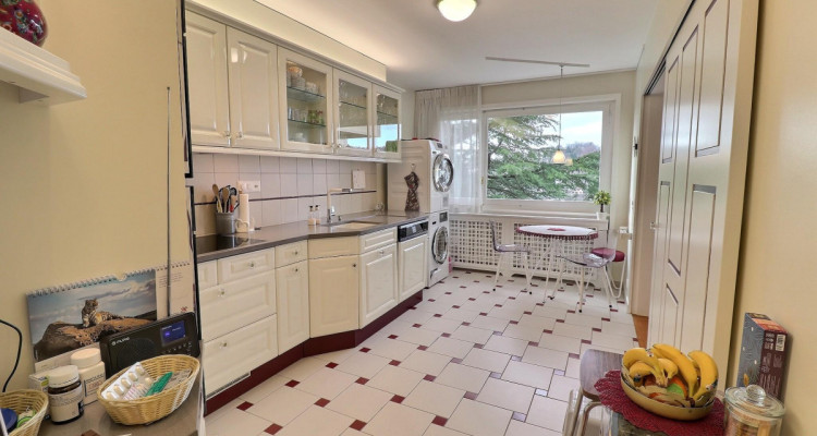 Magnifique appartement avec vue Lac en viager occupé sans rente image 4