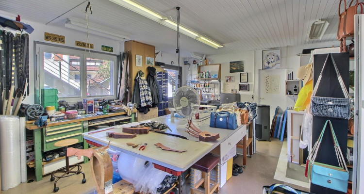 Splendide maison en viager occupé sans rente image 3