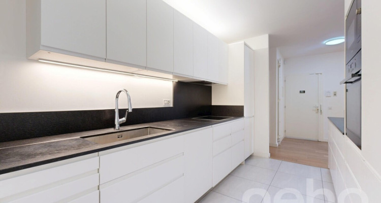 Champel, très beau 4,5 pièces, alliant espace et tranquilité image 8