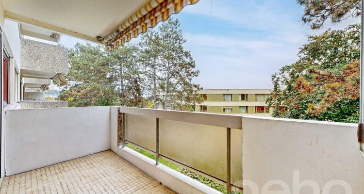 Appartement traversant rénové, proche de toutes commodités image 1