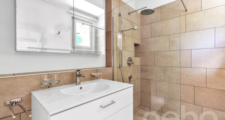 Luxuriöses Wohnen in Seenähe mit zusätzlicher Ausbaufläche image 10