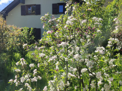 Jolie Villa jumelle de 5.5 pièces - EXCLUSIVITE  image 2