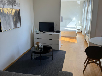 Appartement de 1,5 pièces au 7ème étage à Bel-Air 1204 image 2