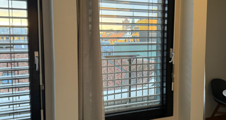 Appartement de 1,5 pièces au 7ème étage à Bel-Air 1204 image 5