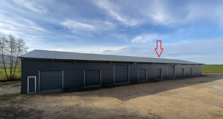 Dépôt / Atelier avec porte sectionnelle ? idéal artisan, stockage ou petite activité image 4