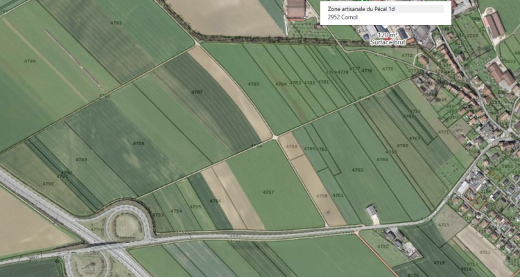 Dépôt / Atelier avec porte sectionnelle ? idéal artisan, stockage ou petite activité image 6