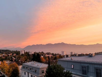 🏡 Reprise de bail – 2,5 pièces, Lausanne (Route de Berne) au : 16.01.2026 image 2