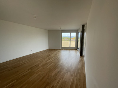 🏡 Reprise de bail – 2.5 pièces, Nyon (Chemin Falconnier) au : 01.02.2026 image 1