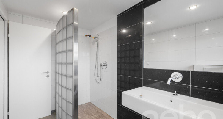 Grosszügiges 9.5-Zimmer-Einfamilienhaus am Sempachersee image 11